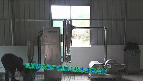 顆粒藕粉、速溶藕粉及復(fù)合藕粉設(shè)備的技術(shù)開(kāi)發(fā)與應(yīng)用